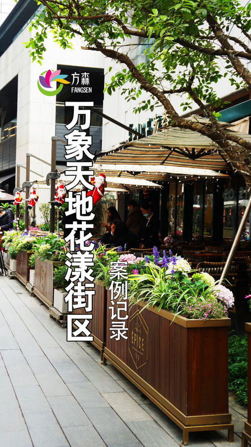 深圳南山萬(wàn)象天地花漾街區(qū) 園林綠化與花境設(shè)計(jì)的典范