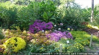 綠化園林景觀設(shè)計(jì)與養(yǎng)護(hù) 從圖紙到實(shí)景的全方位指南