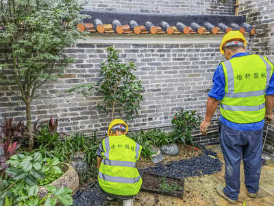 禪城嶺南盛世茶舍園林綠化工程進入收尾，精細化養護開啟新篇章