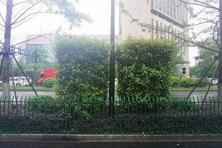 匠心筑綠，典范引航——杭州市2016年度優秀園林綠化工程特色項目觀摩活動側記