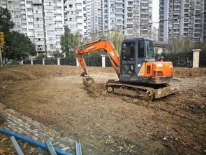 園林綠化工程施工五大核心細節 園林人的專業素養與實踐指南