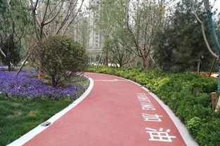 樓盤景觀進化論 從園林綠化到生態養護，現代社區綠化知多少