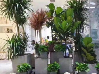 東莞城區(qū)專業(yè)別墅庭院花園設(shè)計(jì)施工與綠化養(yǎng)護(hù)全攻略