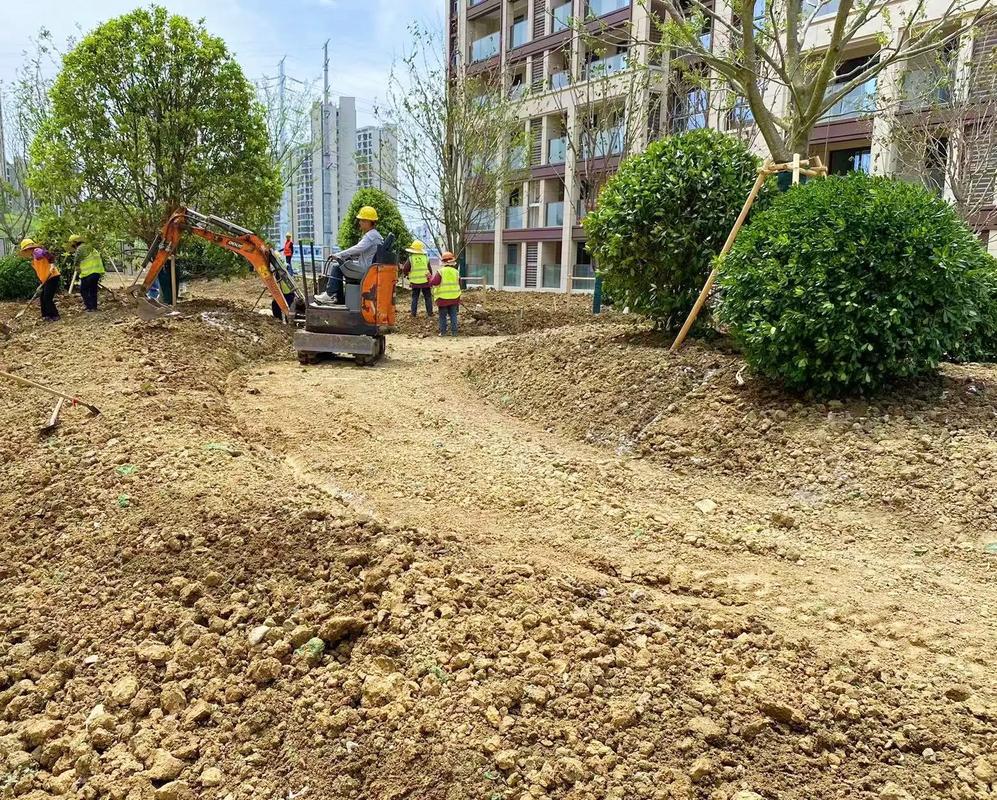 專業(yè)綠化，匠心養(yǎng)護(hù) 讓園林之美歷久彌新