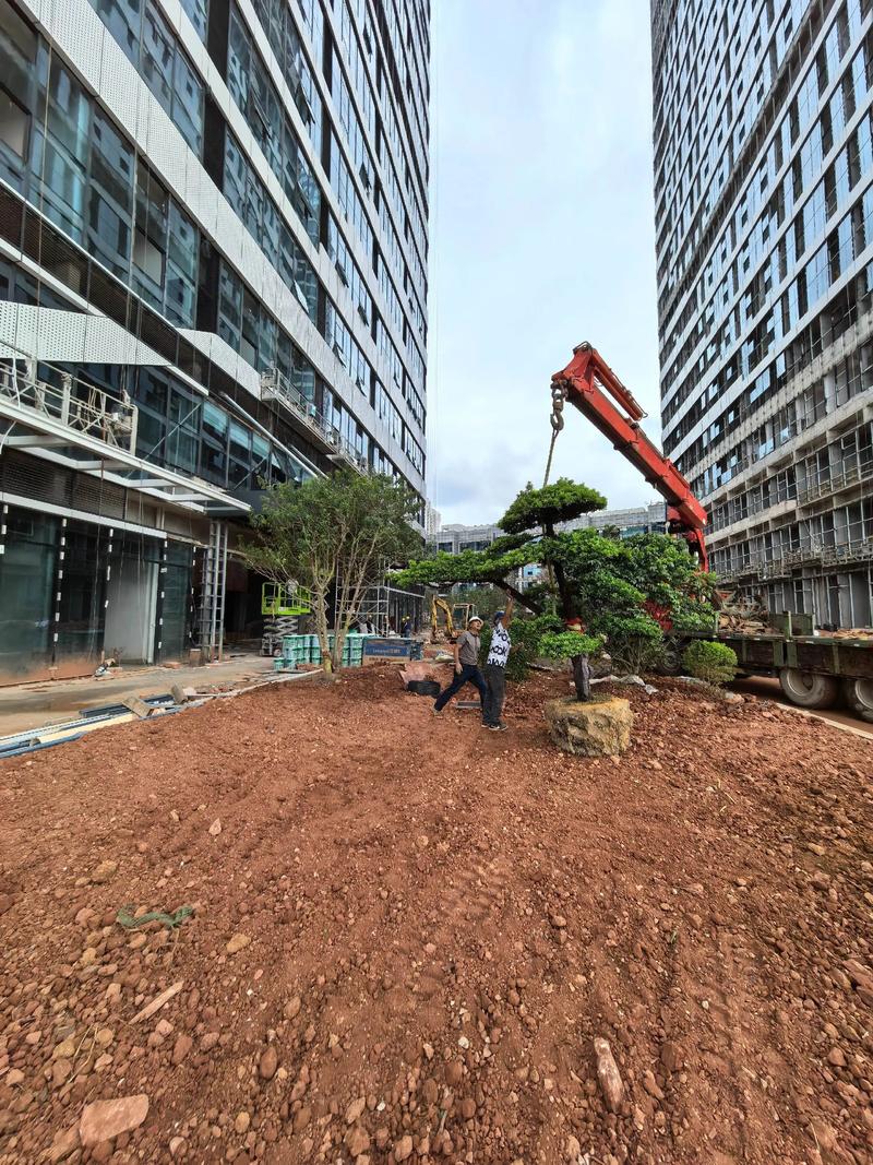 從一草一木到一方生態(tài) 園林景觀綠化的多元價(jià)值與深遠(yuǎn)意義